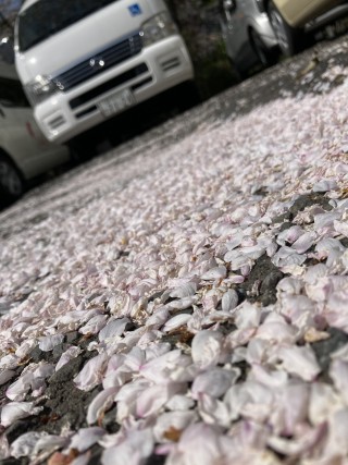      画像拡大	するしない   キャプション	 キャプションを入力 2	  画像