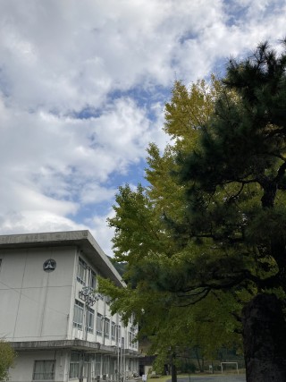      画像拡大	するしない   キャプション キャプションを入力 2 画像