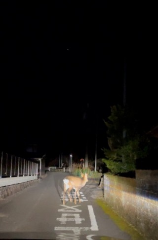      画像拡大	するしない   キャプション キャプションを入力 2 画像